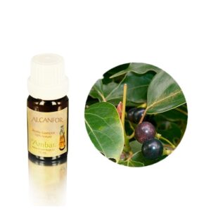 Aceite esencial Ambar - Alcanfor