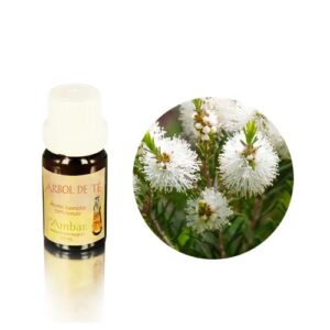 Aceite esencial Ambar - Arbol de Té