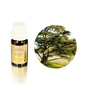 Aceite esencial Ambar - Cedro