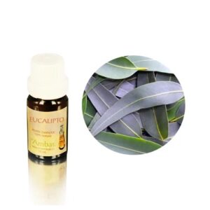 Aceite esencial Ambar - Eucalipto