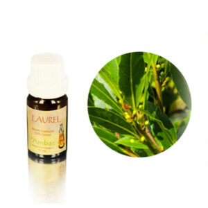 Aceite esencial Ambar - Laurel