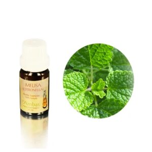 Aceite esencial Ambar - Melisa