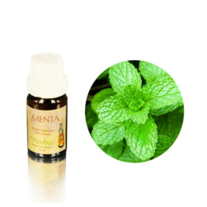 Aceite esencial Ambar - Menta