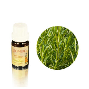 Aceite esencial Ambar - Romero